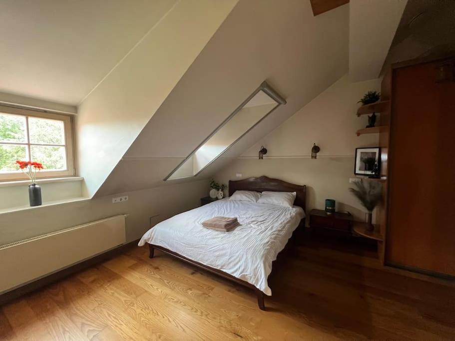 Old Town Apartment With Free Parking فيلنيوس المظهر الخارجي الصورة
